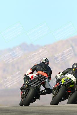 media/Jan-13-2024-SoCal Trackdays (Sat) [[9c032fe5aa]]/Turn 9 Backside (110pm)/
